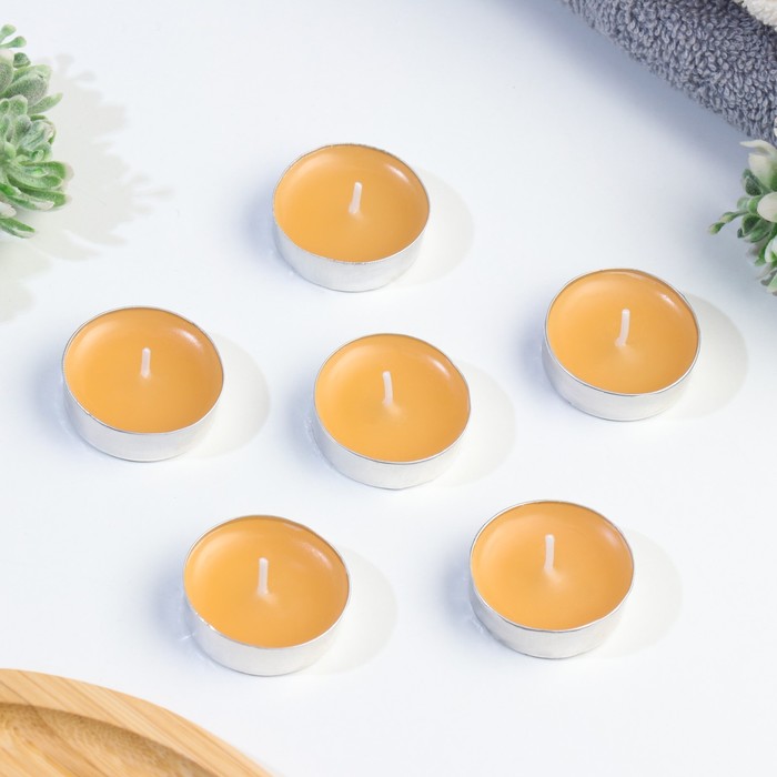 Набор чайных свечей ароматизированных в подарочной коробке, 6 шт "Корица"